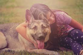 List of lafayette animal shelters find lafayette, indiana animal shelters. The Benefits Of Pet Parenthood