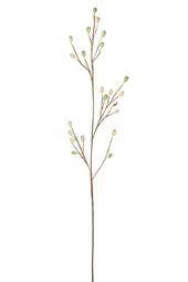 Wallpaper bunga hd, wallpaper hp bunga, download wallpaper bunga, wallpaper bunga pohon dan buah, wallpaper bunga segar, wallpaper bunga mawar, wallpaper bunga bergerak, wallpaper bunga 3d wallpaper bunga tulip putih kuncup pesona dunia sumber : 52 Ide Bunga Background Putih Di 2021 Bunga Putih Desain Furnitur Kamar Tidur