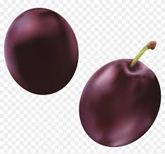 plum png image transparent plum clipart 5091296 pikpng plum png image transparent plum