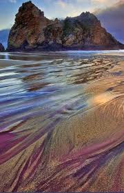 No dogs are allowed on the trails or campground. 810 Destinations Venues Ideas In 2021 Places Places To Go Beautiful Places