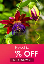 I Found This Amazing 100pcs Bag Passion Flower Seeds Vine Fruit Passiflora Bonsai Seeds Home Garden With Us 5 99 And 14 In 2020 Flower Seeds Vine Fruit Passion Flower