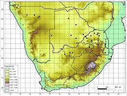 Image result for Rhynchosia totta