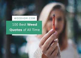 The movie contains absurdist moments, parodies of other movies and tv shows, and some hysterically funny cameos. 100 Best Weed Quotes Of All Time Weediom