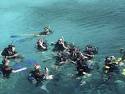 Classes Schedules Midwest Scuba