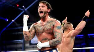 Some of you need to stop listening to criticism from people you wouldn't ask advice from. Commercial Breakdown Cm Punk Charged With Unlabeled Advertising Botchfest