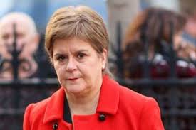 Mum trampled to death by cows while walking dog