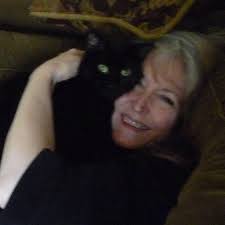 Commercial Beekeeping Operations in Montana with High Honey Production