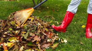 Quoi planter en novembre à l'extérieur ? Jardinage En Novembre Que Planter Que Semer La Voix Du Nord