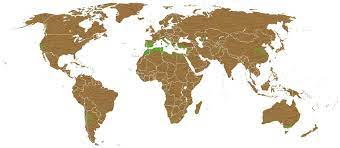 We did not find results for: Geographical Distribution Of Olive Growing Areas Download Scientific Diagram