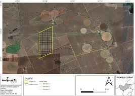 Image result for Chascanum adenostachyum