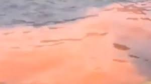 Blood Red Bondi Beach Triggers Alarm | IBTimes UK