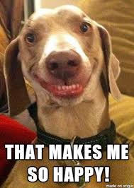 That includes funny memes for friends, family, and more. Funny Happy Dog Meme Novocom Top