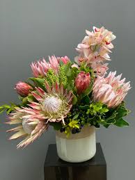 Image result for Protea argyrea