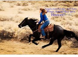 I Love Horses Horses Cowgirl And Horse Horse Love