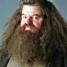 Harry Potter's Hagrid AKA Robbie Coltrane passed away due to multiple organ  failure