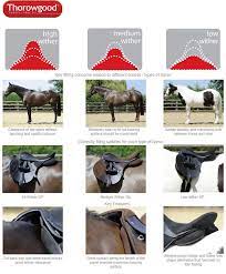 Pin By Leslie Alderson On Horses O Saddle Fitting Horse Saddles Horse Health