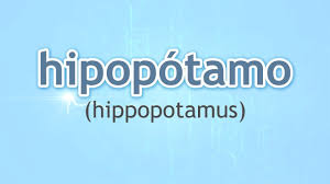 How To Pronounce Hippopotamus Hipopotamo In Spanish Youtube