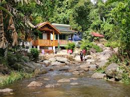 Majlis perbandaran kuala kangsar, kuala kangsar, malaysia. Homestay Rumah Sungai Lenggong Perak Gokelah