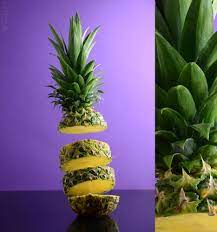 الاناناس الطائر Fruit Photography Fruit Pineapple