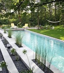 Pin By Billie Huff Bagley On Swim In 2020 Small Pool Design Pool Designs Pool Landscaping