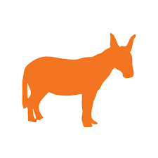 How much does owning a donkey cost? Donkey Republic Reviews Facebook