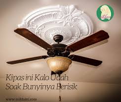 Exhaust fan dari maspion berfungsi untuk mengatur sirkulasi udara dengan cara menghisap udara kotor di dalam ruangan, membuangnya ke luar dan membawa udara segar masuk. Penggunaan Kipas Angin Kenyamanan Untuk Berbagai Kalangan Milda Ini