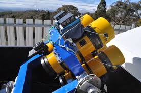 Image result for Astropanax