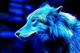 Blue Wolf Wallpapers Blue Wolf Wallpapers Wolf Wallpaper Wolf With Blue Eyes Scary Wallpaper