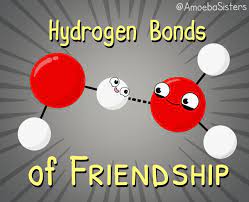 Amoeba Sisters On Twitter Hydrogen Bond Science Comics Chemistry