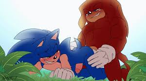Knuckles Fucks Sonic Animation GIF Gay Porn [MM] (KrazyELF) : rSonicnsfwgay