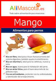 Los Perros Pueden Comer Mango Alimentacion Para Perros