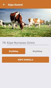 Ibb Kurban Indir Android Icin Istanbul Buyuksehir Belediyesi Kurban Uygulamasi Tamindir
