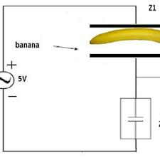 Color Chart Of Banana Fruits In Various Stages Download