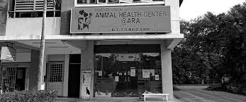 You must wear a mask while at pacc. Veterinary Clinic Surgery In Pj Animal Health Center Ara