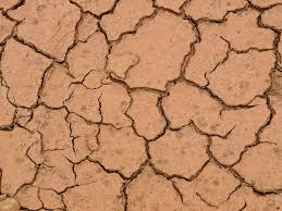 Fresh spring green grass with soil isolated on white background. Dirt Texture Muddy Dirty Nature Background Outdoors Ground Earth Soil Pxfuel