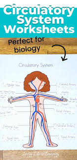 Pin On It S Science