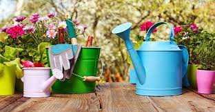 Amazon.com has a wide selection at great prices to help with your diy and home improvement projects. The Basic Gardening Tools Everyone Needs My Garden Life