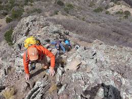 images?q=tbn:ANd9GcRzizFKNOwisKWfn79e4rX