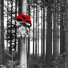 Bild Kuckucksuhr Am Baum Bollen Rot Kuckucksuhren Schwarzwald Bilder Bilder