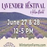 Lavender Festival & Artisan Market
