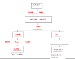 Solved I Had To Fill Out This Flow Chart For Qualitative