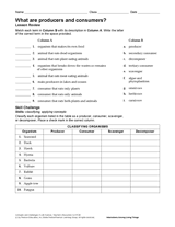 Companies that produce a particular kind of good or service are grouped together in what is known as an industry. What Are Producers And Consumers Science Printable 6th 12th Grade Teachervision