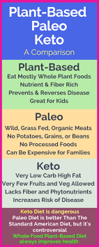 Plant Based Paleo Keto What S The Difference Leafy Vibe Ketogenic Diet For Beginners Paleo Recipe Videos Keto Diet Recipes