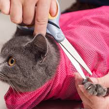 The least desirable method of restraint for a cat is a. Sale 1pc Mesh Pet Cat Grooming Restraint Bag For Bath Washing Nails Cutting Cleaning Bags Restraint Polyester Mesh Dog Buy At The Price Of 2 24 In Aliexpress Com Imall Com