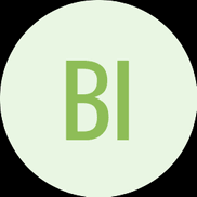 Bruce Irish Insurance