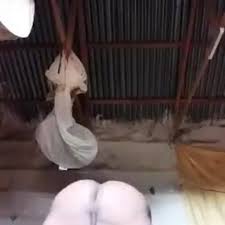 Somali Girl Getting Fucked - XXX BULE