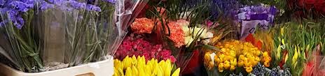 We provide wide range collection of flowers bouquet. Home Chadwicks Wholesale Flowers Tydd St Mary Wisbech Cambridgeshire