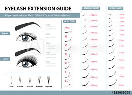 Eyelash Extension Guide Different Types Of False Eyelashes