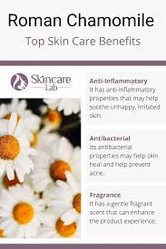 Roman Chamomile Skin Care Benefits Chamomile Skin Benefits Chamomile Skin Care Skin Care Benefits