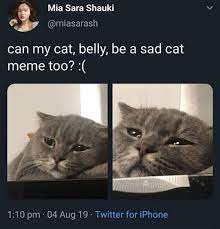 Pin On Cat Lovers